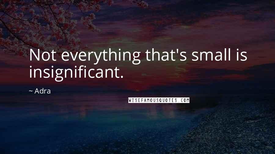 Adra Quotes: Not everything that's small is insignificant.