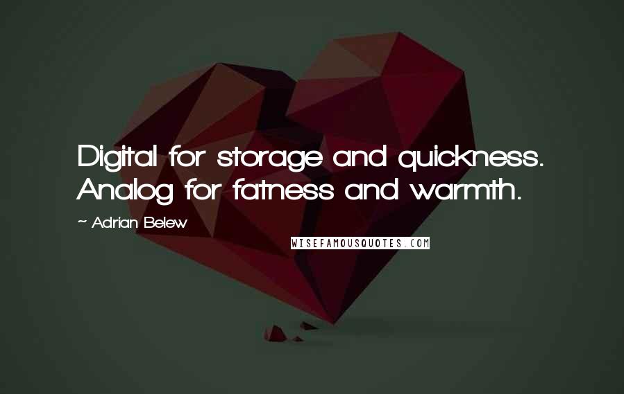 Adrian Belew Quotes: Digital for storage and quickness. Analog for fatness and warmth.