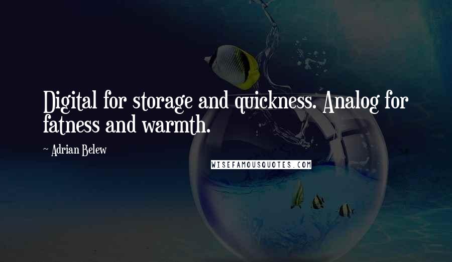 Adrian Belew Quotes: Digital for storage and quickness. Analog for fatness and warmth.