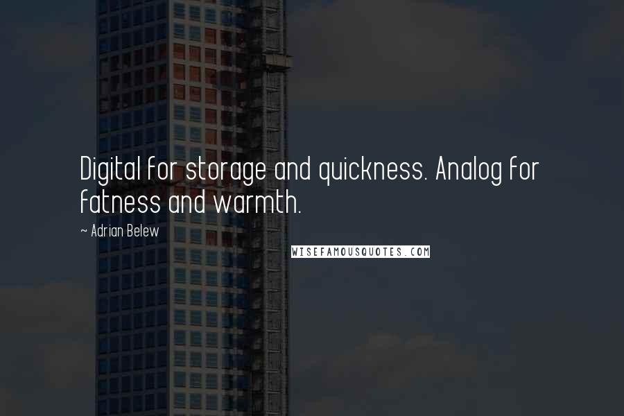 Adrian Belew Quotes: Digital for storage and quickness. Analog for fatness and warmth.
