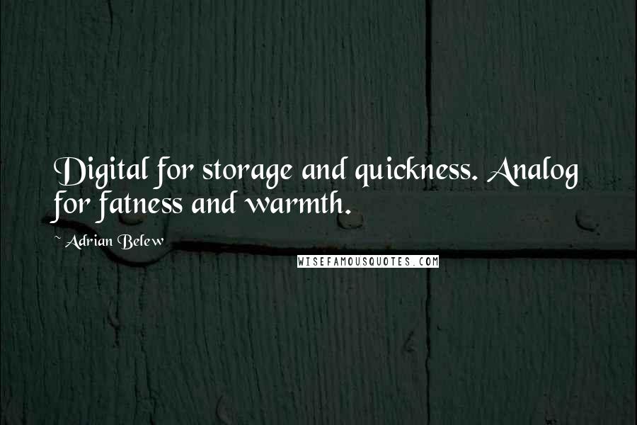 Adrian Belew Quotes: Digital for storage and quickness. Analog for fatness and warmth.