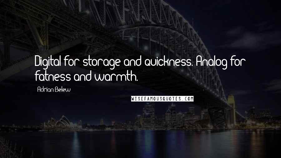 Adrian Belew Quotes: Digital for storage and quickness. Analog for fatness and warmth.