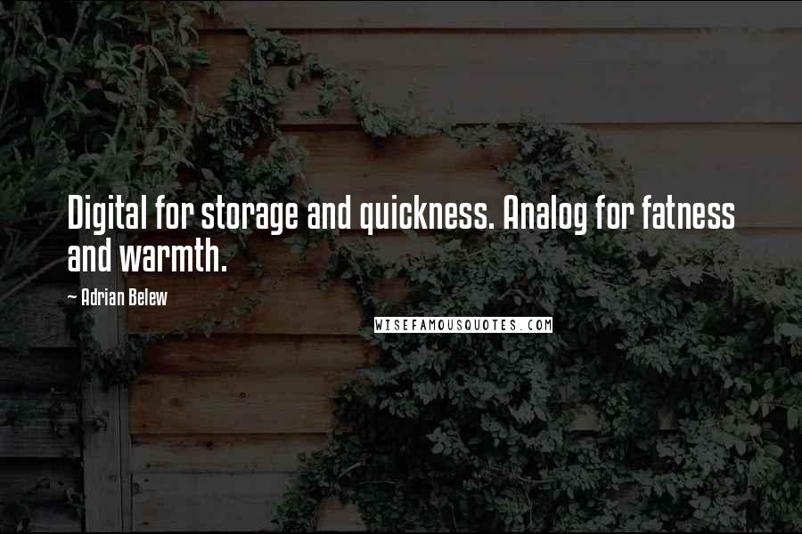 Adrian Belew Quotes: Digital for storage and quickness. Analog for fatness and warmth.