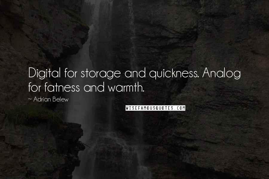 Adrian Belew Quotes: Digital for storage and quickness. Analog for fatness and warmth.