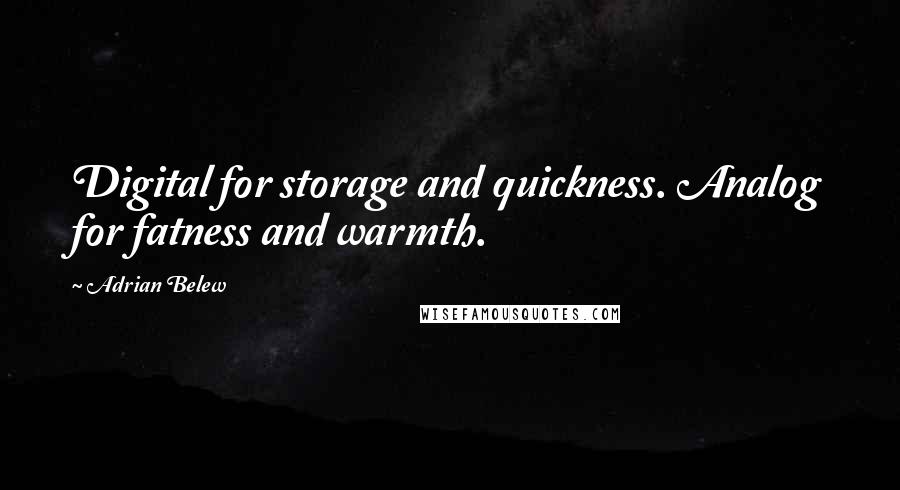 Adrian Belew Quotes: Digital for storage and quickness. Analog for fatness and warmth.