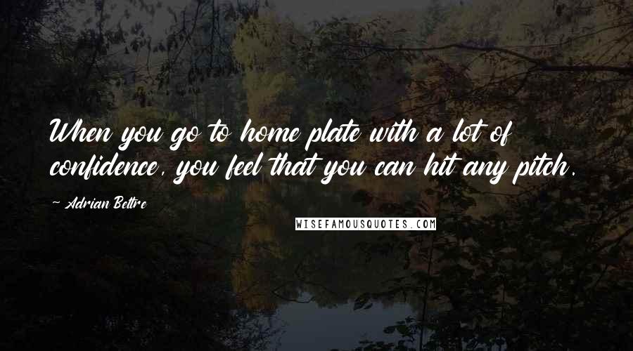 Adrian Beltre Quotes: When you go to home plate with a lot of confidence, you feel that you can hit any pitch.