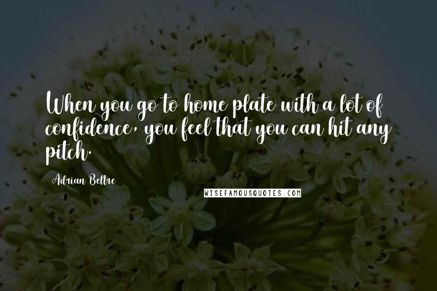 Adrian Beltre Quotes: When you go to home plate with a lot of confidence, you feel that you can hit any pitch.