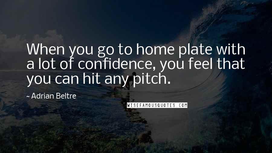 Adrian Beltre Quotes: When you go to home plate with a lot of confidence, you feel that you can hit any pitch.