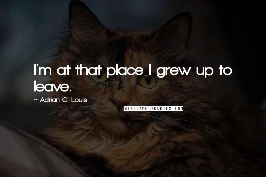 Adrian C. Louis Quotes: I'm at that place I grew up to leave.
