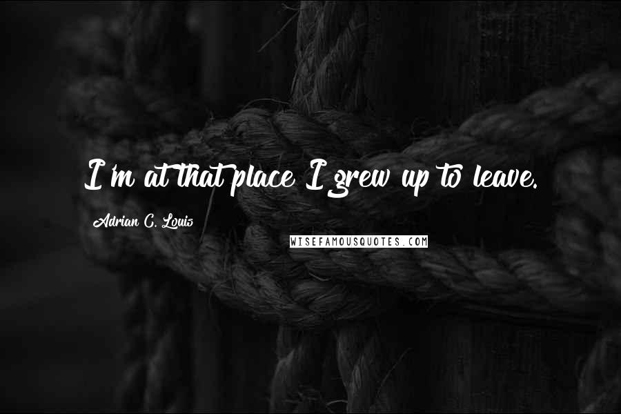 Adrian C. Louis Quotes: I'm at that place I grew up to leave.