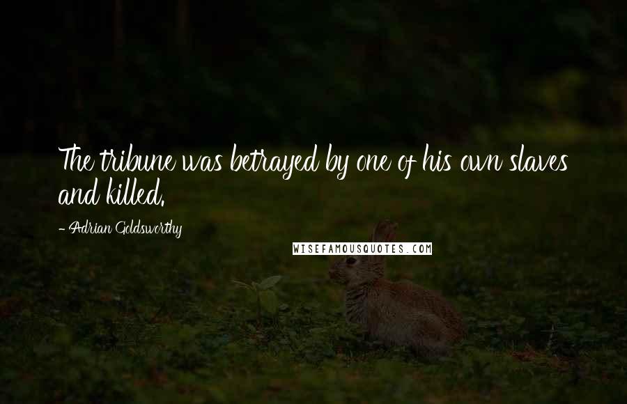 Adrian Goldsworthy Quotes: The tribune was betrayed by one of his own slaves and killed.