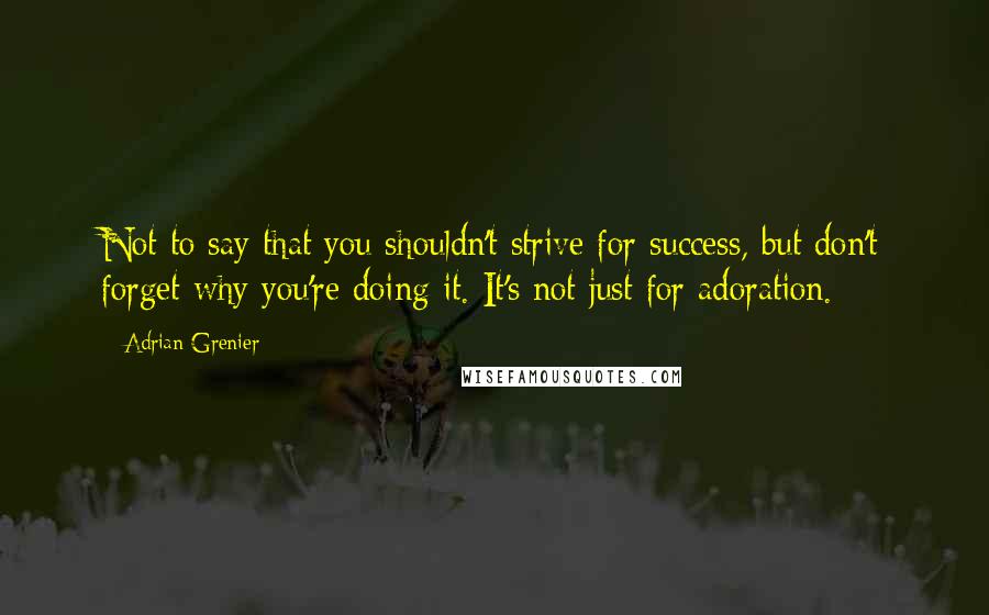 Adrian Grenier Quotes: Not to say that you shouldn't strive for success, but don't forget why you're doing it. It's not just for adoration.