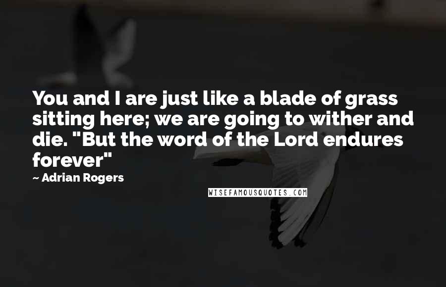 Adrian Rogers Quotes: You and I are just like a blade of grass sitting here; we are going to wither and die. "But the word of the Lord endures forever"