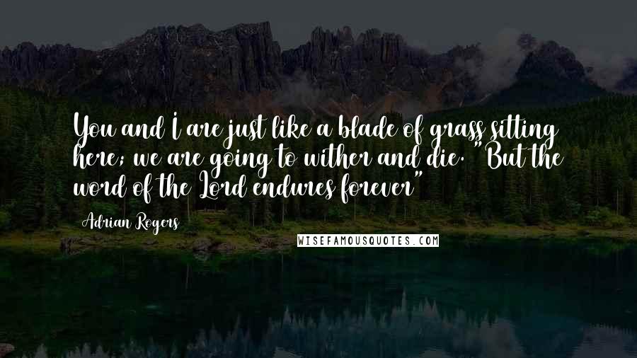 Adrian Rogers Quotes: You and I are just like a blade of grass sitting here; we are going to wither and die. "But the word of the Lord endures forever"