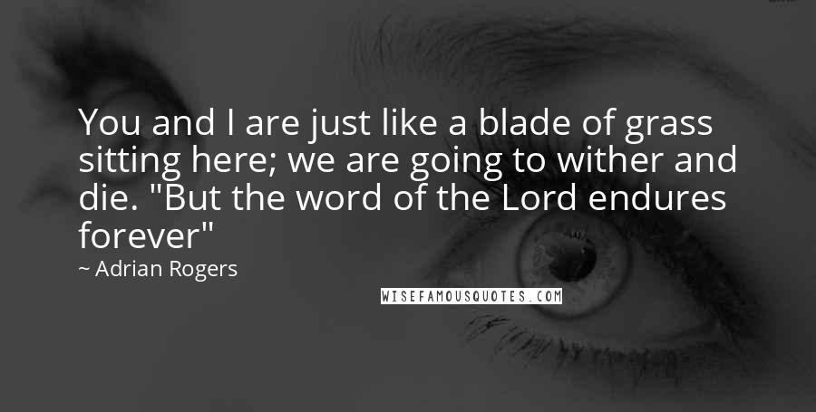 Adrian Rogers Quotes: You and I are just like a blade of grass sitting here; we are going to wither and die. "But the word of the Lord endures forever"