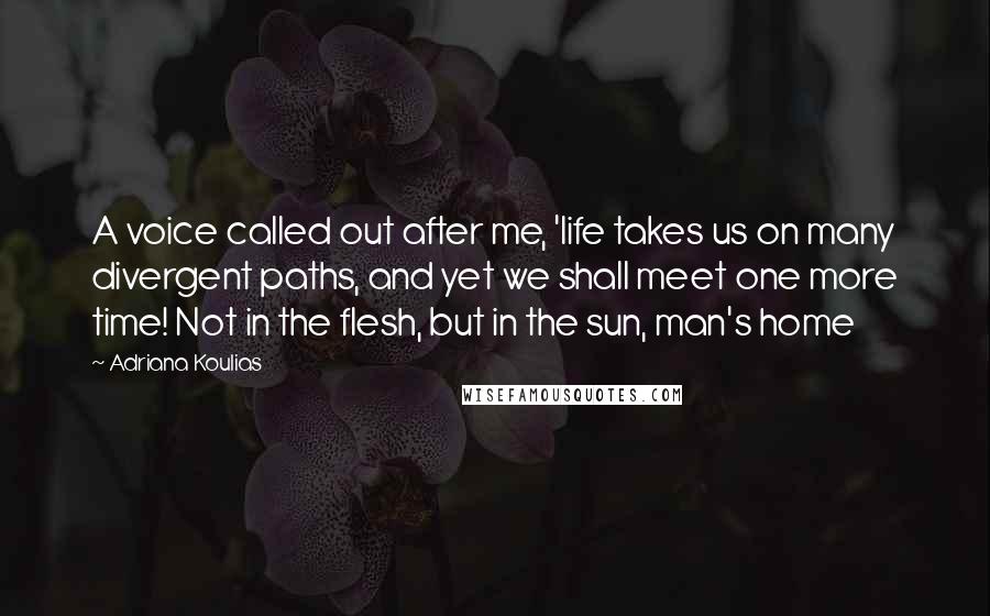 Adriana Koulias Quotes: A voice called out after me, 'life takes us on many divergent paths, and yet we shall meet one more time! Not in the flesh, but in the sun, man's home