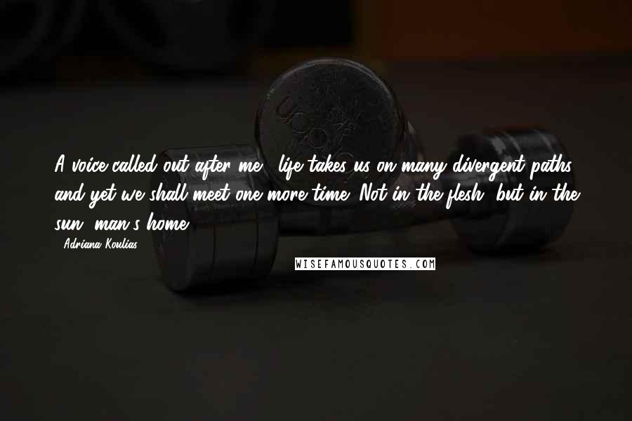 Adriana Koulias Quotes: A voice called out after me, 'life takes us on many divergent paths, and yet we shall meet one more time! Not in the flesh, but in the sun, man's home