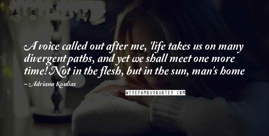 Adriana Koulias Quotes: A voice called out after me, 'life takes us on many divergent paths, and yet we shall meet one more time! Not in the flesh, but in the sun, man's home