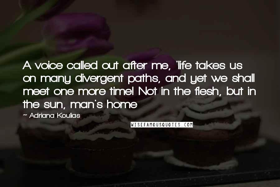 Adriana Koulias Quotes: A voice called out after me, 'life takes us on many divergent paths, and yet we shall meet one more time! Not in the flesh, but in the sun, man's home