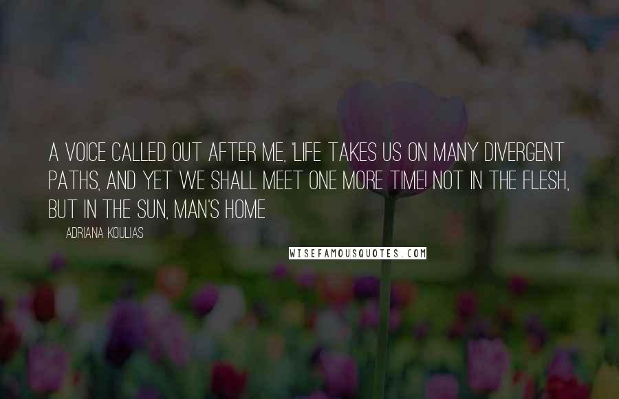 Adriana Koulias Quotes: A voice called out after me, 'life takes us on many divergent paths, and yet we shall meet one more time! Not in the flesh, but in the sun, man's home