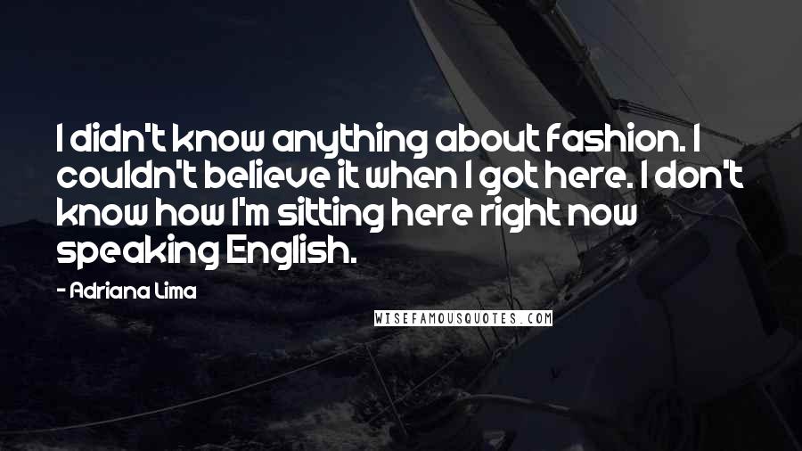 Adriana Lima Quotes: I didn't know anything about fashion. I couldn't believe it when I got here. I don't know how I'm sitting here right now speaking English.