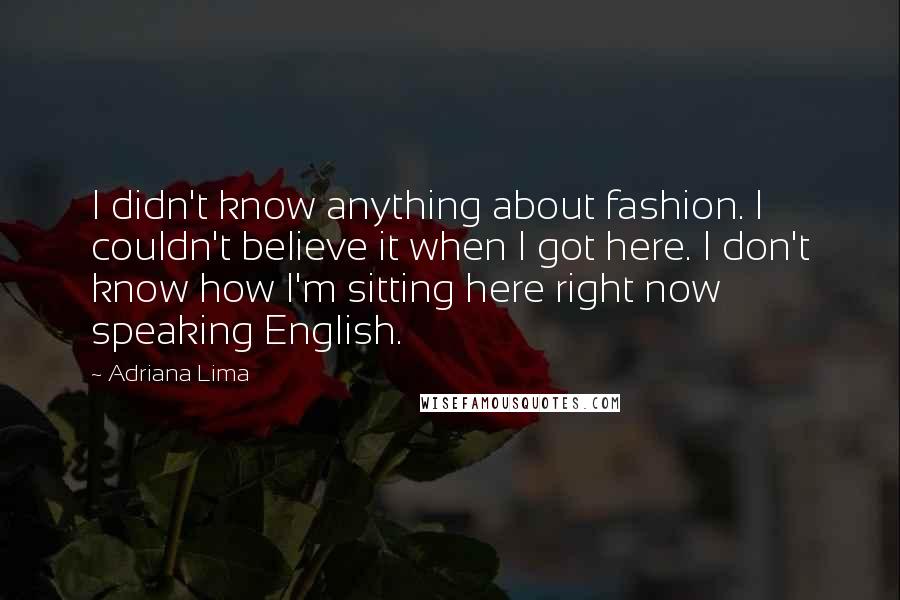 Adriana Lima Quotes: I didn't know anything about fashion. I couldn't believe it when I got here. I don't know how I'm sitting here right now speaking English.