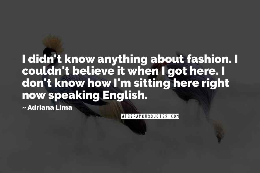 Adriana Lima Quotes: I didn't know anything about fashion. I couldn't believe it when I got here. I don't know how I'm sitting here right now speaking English.