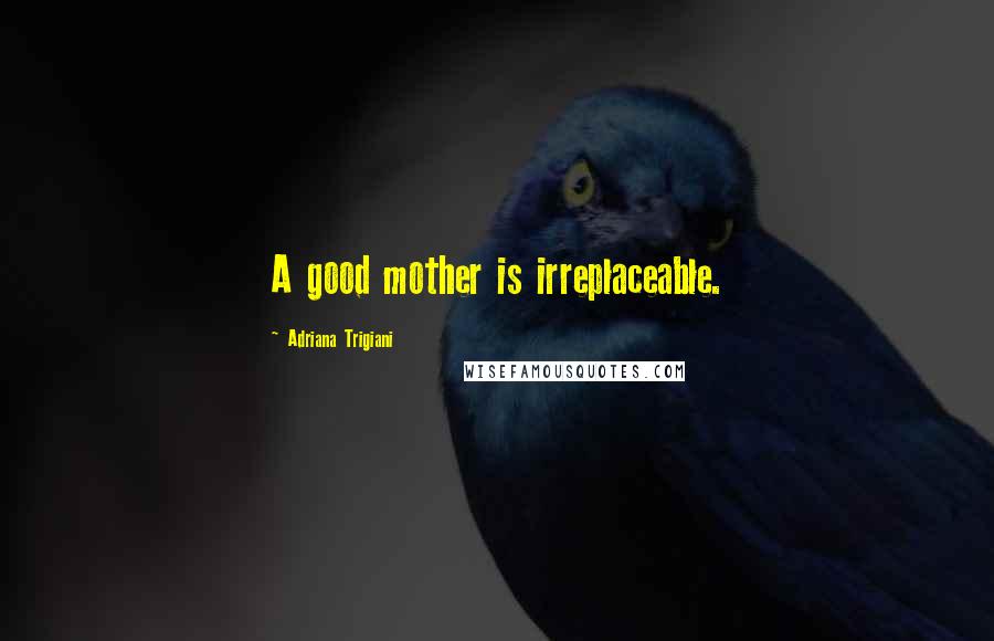 Adriana Trigiani Quotes: A good mother is irreplaceable.