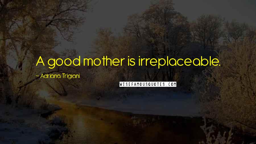 Adriana Trigiani Quotes: A good mother is irreplaceable.