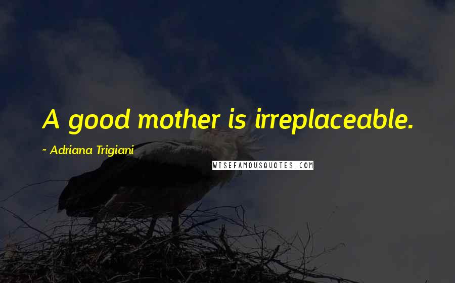 Adriana Trigiani Quotes: A good mother is irreplaceable.