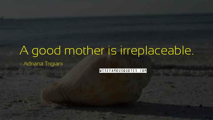 Adriana Trigiani Quotes: A good mother is irreplaceable.