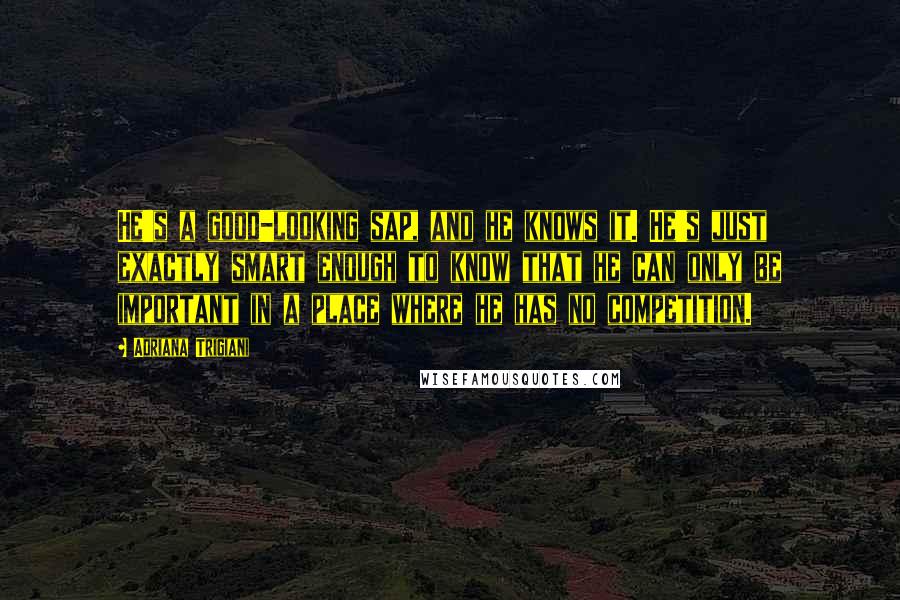 Adriana Trigiani Quotes: He's a good-looking sap, and he knows it. He's just exactly smart enough to know that he can only be important in a place where he has no competition.