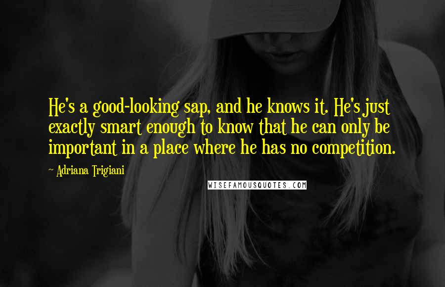 Adriana Trigiani Quotes: He's a good-looking sap, and he knows it. He's just exactly smart enough to know that he can only be important in a place where he has no competition.