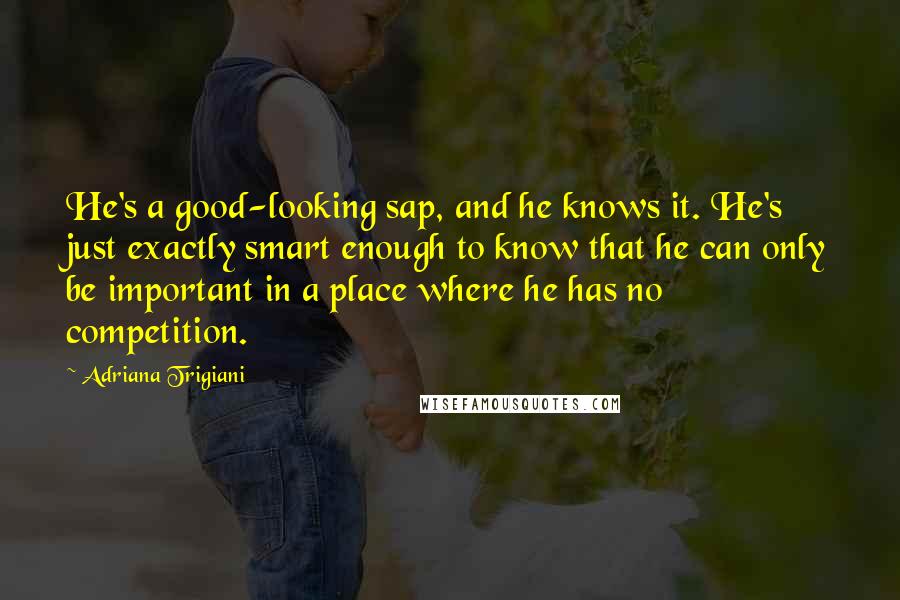 Adriana Trigiani Quotes: He's a good-looking sap, and he knows it. He's just exactly smart enough to know that he can only be important in a place where he has no competition.