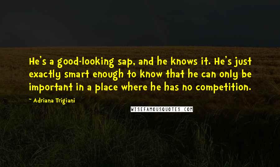 Adriana Trigiani Quotes: He's a good-looking sap, and he knows it. He's just exactly smart enough to know that he can only be important in a place where he has no competition.