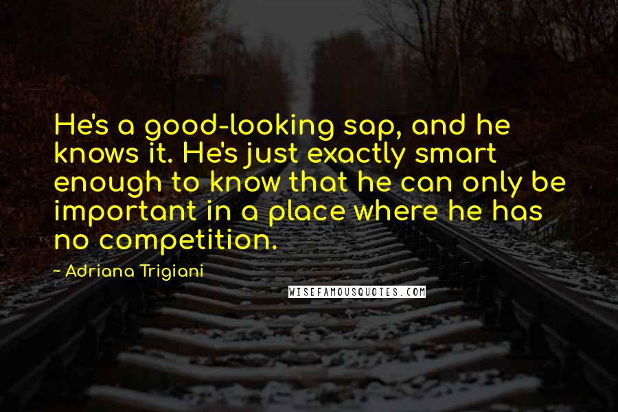 Adriana Trigiani Quotes: He's a good-looking sap, and he knows it. He's just exactly smart enough to know that he can only be important in a place where he has no competition.