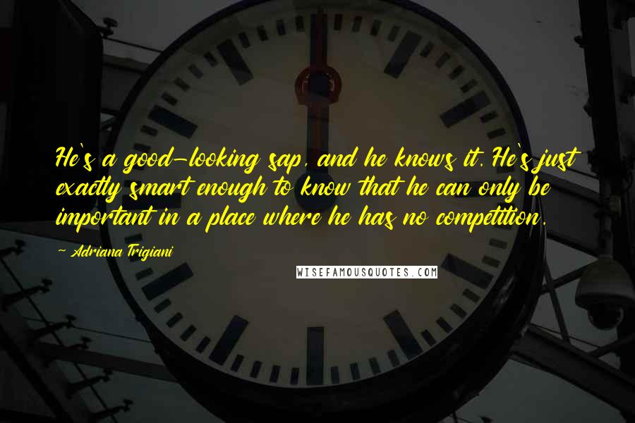 Adriana Trigiani Quotes: He's a good-looking sap, and he knows it. He's just exactly smart enough to know that he can only be important in a place where he has no competition.