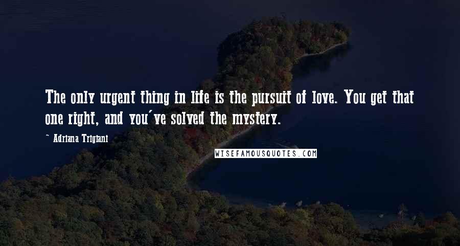 Adriana Trigiani Quotes: The only urgent thing in life is the pursuit of love. You get that one right, and you've solved the mystery.