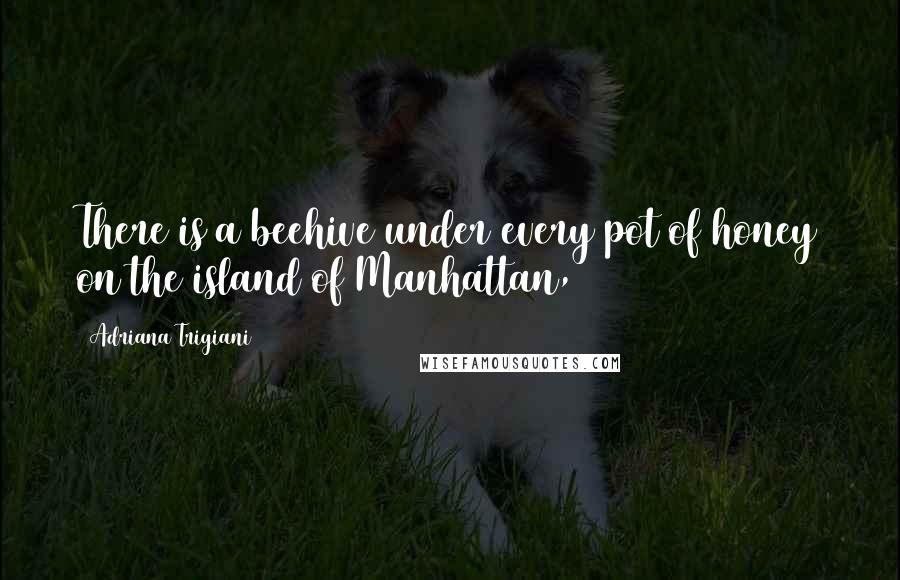 Adriana Trigiani Quotes: There is a beehive under every pot of honey on the island of Manhattan,