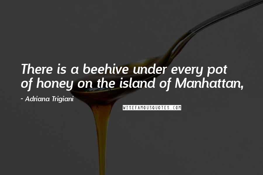 Adriana Trigiani Quotes: There is a beehive under every pot of honey on the island of Manhattan,