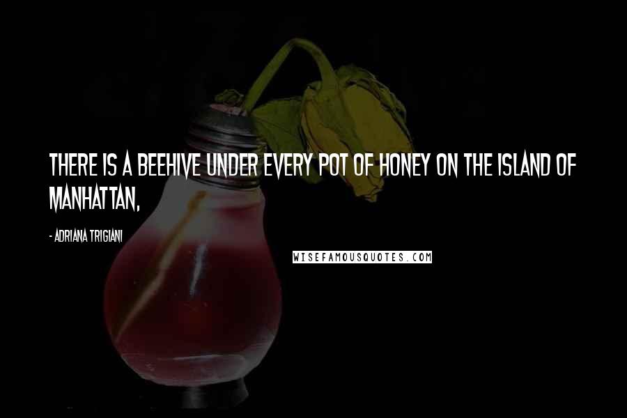 Adriana Trigiani Quotes: There is a beehive under every pot of honey on the island of Manhattan,