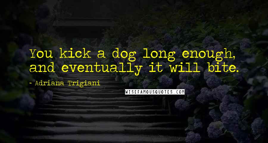 Adriana Trigiani Quotes: You kick a dog long enough, and eventually it will bite.