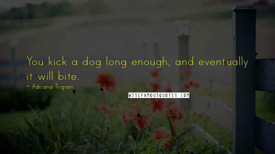 Adriana Trigiani Quotes: You kick a dog long enough, and eventually it will bite.