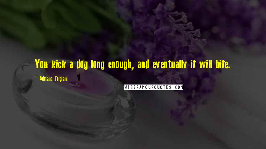 Adriana Trigiani Quotes: You kick a dog long enough, and eventually it will bite.