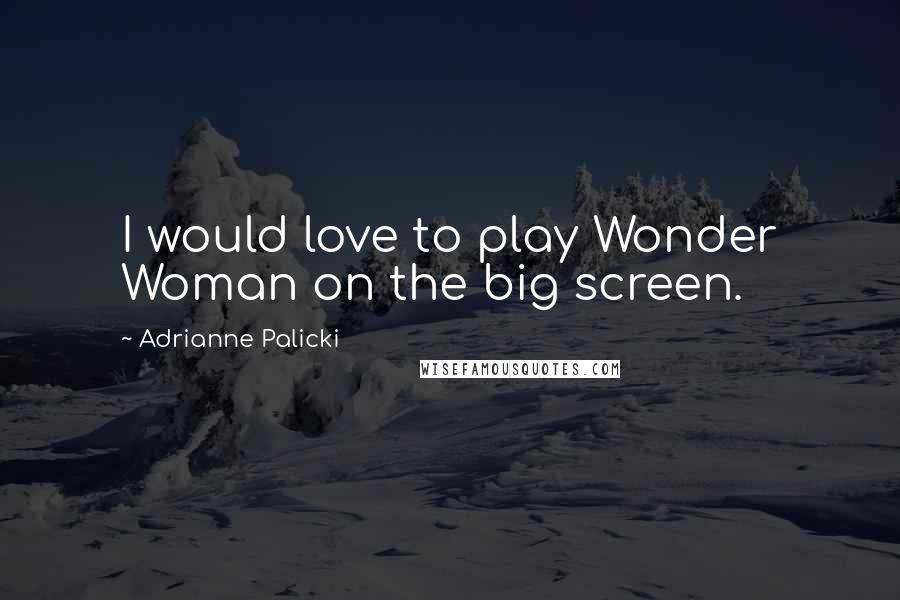 Adrianne Palicki Quotes: I would love to play Wonder Woman on the big screen.