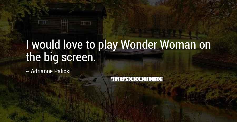 Adrianne Palicki Quotes: I would love to play Wonder Woman on the big screen.