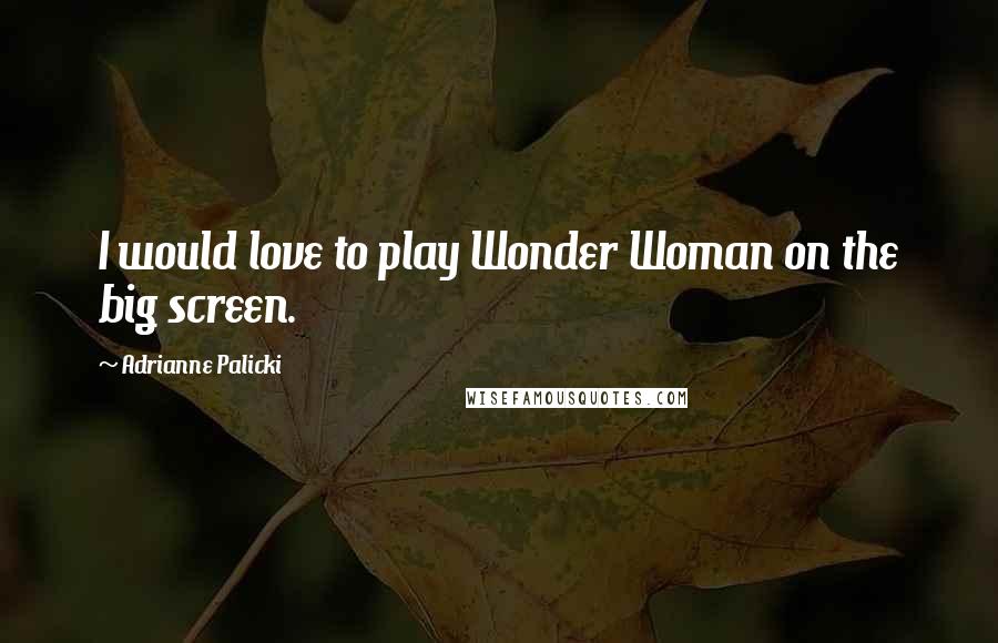 Adrianne Palicki Quotes: I would love to play Wonder Woman on the big screen.