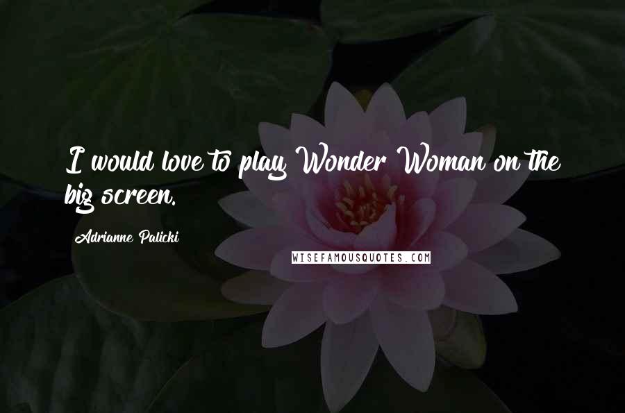 Adrianne Palicki Quotes: I would love to play Wonder Woman on the big screen.