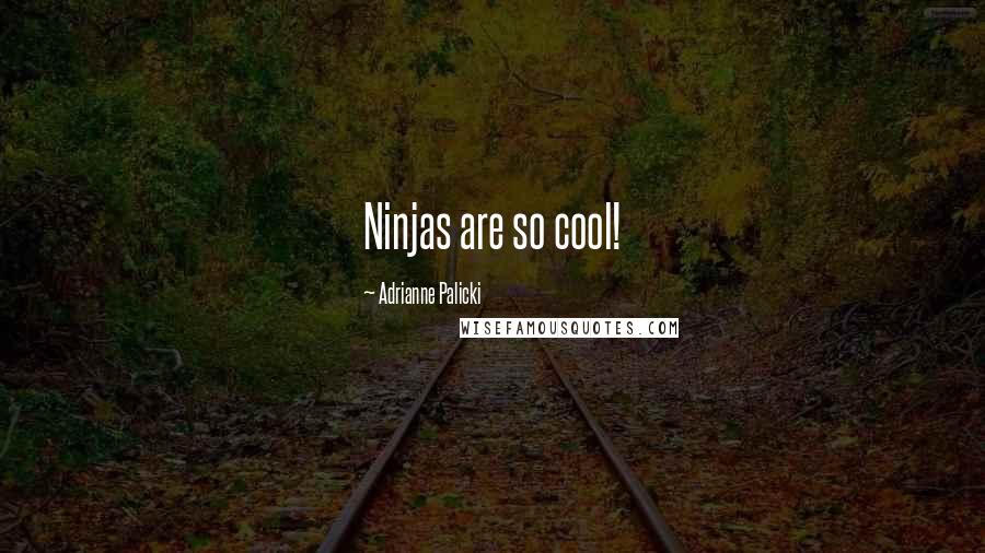 Adrianne Palicki Quotes: Ninjas are so cool!