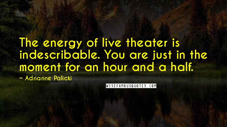 Adrianne Palicki Quotes: The energy of live theater is indescribable. You are just in the moment for an hour and a half.